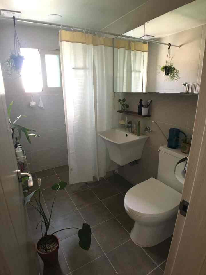 ホワイトとブラウンの色調のバスルーム、洗面台とトイレ、植物が配置された印象的なワンルームの浴室