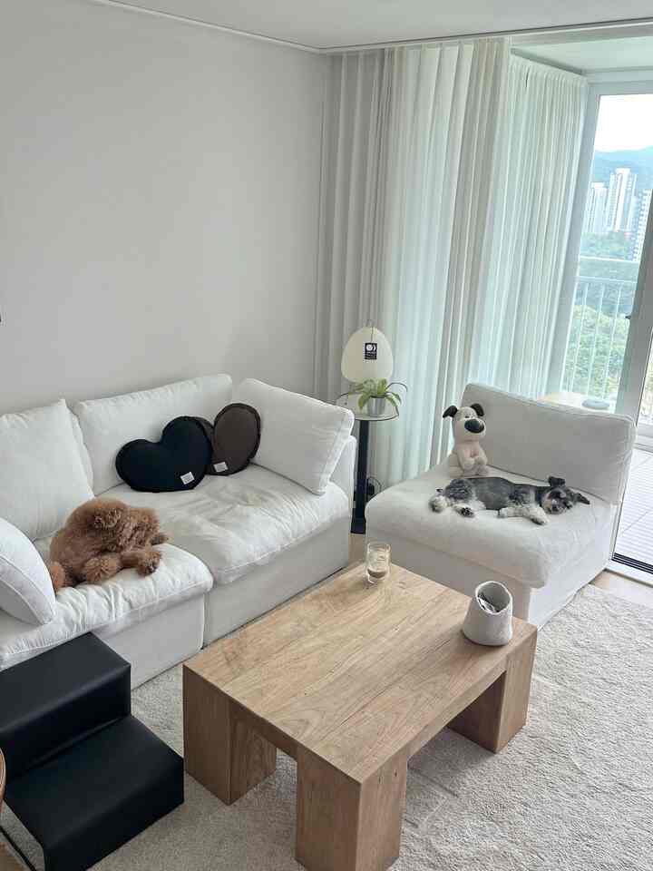 白とナチュラルカラーが調和したリビング、ソファの上でくつろぐ犬が2匹と木製のコーヒーテーブルが配置された雰囲気のあるインテリア