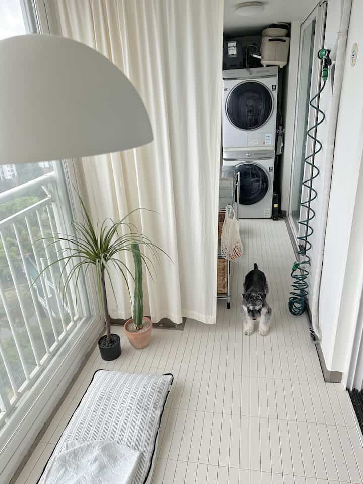 白色調の狭く細長いベランダ、ペットの犬や植物が置かれた清潔感のあるインテリア