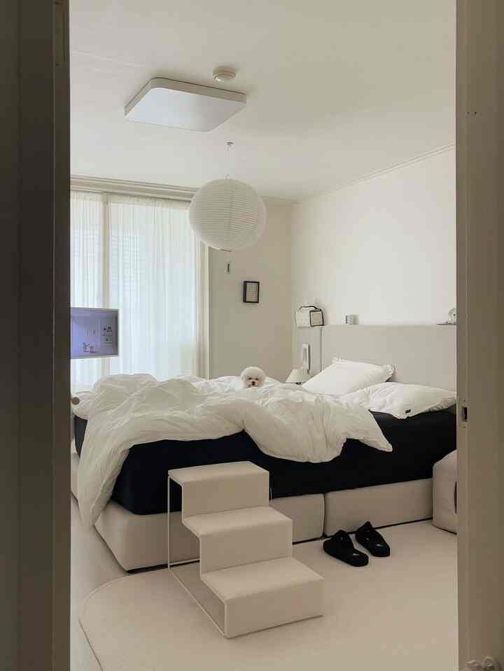 白を基調とした寝室、中央に犬が座る白い寝具と黒いマットレスが配置された清潔で落ち着いた空間