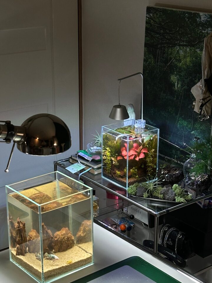 short form carousel card thumbnail