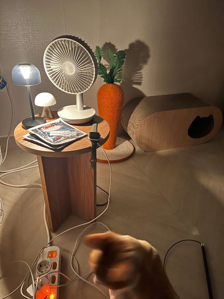 short form carousel card thumbnail