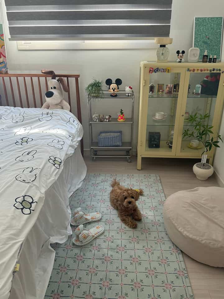 ナチュラルカラーとシンプルなスタイルの一人暮らし寝室、ペットの犬と共に過ごす落ち着いた空間