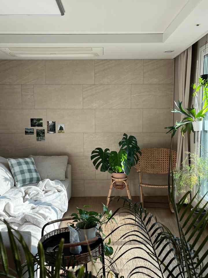  #식집사 #greendecor #ナチュラルルーム