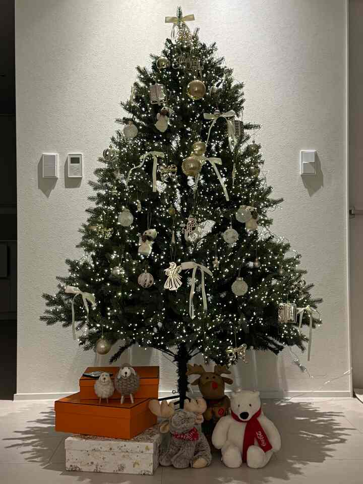 Bersiap-siap untuk Natal cukup awal🎄🎄Aku benci musim dingin, tapi aku suka pohon🤍🩶 #겨울인테리어 #크리스마스 #크리스마스트리 #크리스마스소품 #거실꾸미기 #크리스마스데코 #크리스마스준비 #크리스마스인테리어