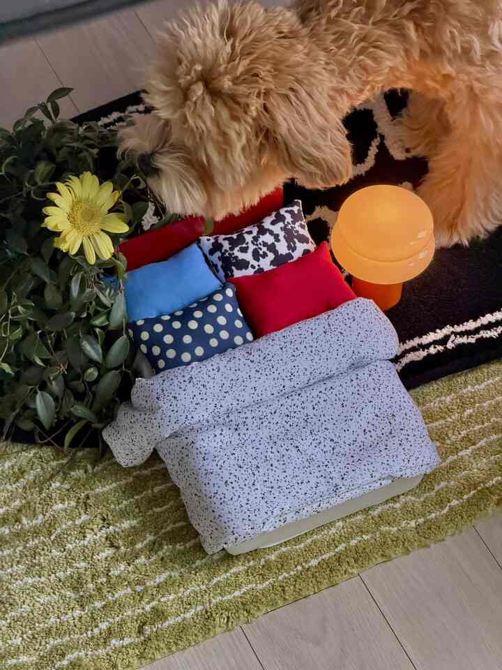 ベージュ色の犬が黒と薄緑のラグの上にあるペットベッドでくつろぐ居心地の良い室内空間