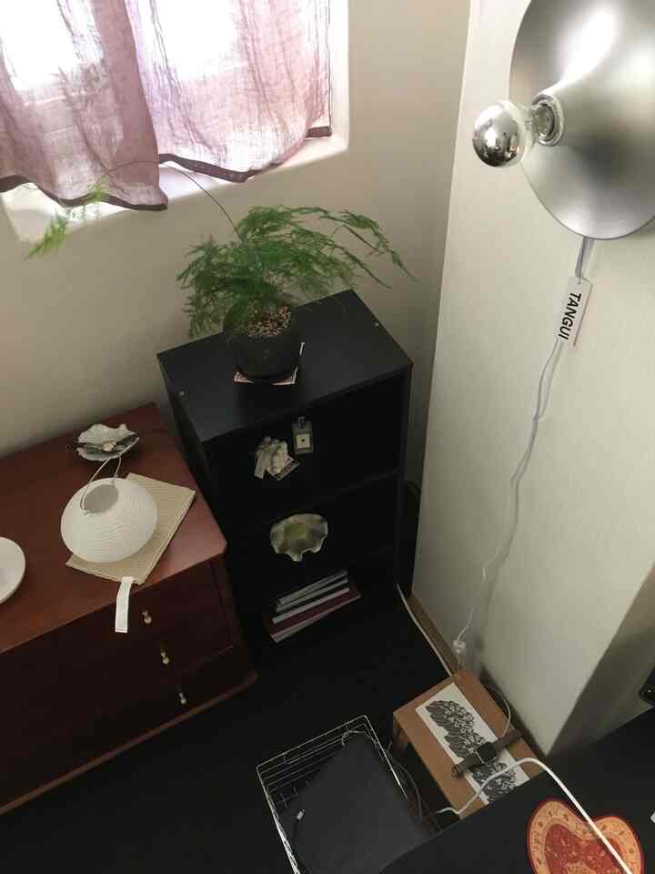 ナチュラルな色調のワンルーム書斎、木製家具とブラケットライト、観葉植物が配置された雰囲気のある空間