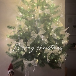 #콘수프필름
미리 즐기는 2025 크리스마스🎄🤍
테무템이 아직 안와서 벽난로 콘솔에 툭툭 올려뒀는데
레드포인트들이 몰려 있어서 그런지 맘에 드는❤️
하나둘 크리스마스 분위기로 바뀌어가는 우리집🏠🎄
#벽트리 #크리스마스트리 #트리 #크리스마스 #집꾸미기 #크리스마스인테리어 #겨울인테리어 #플레이모빌산타 #슈퍼마리오 #리본트리 #리본오너먼트 #산타 #예쁜소품 #크리스마스소품 #led조명 #크리스마스가랜드 #맞팔 #페이크북 #모던하우스 #그로밋 #미리크리스마스 #벽난로콘솔 #콘솔인테리어 #거실 #거실인테리어 #잭슨카멜레온 #우드앤화이트 #화이트앤우드 #메리크리스마스