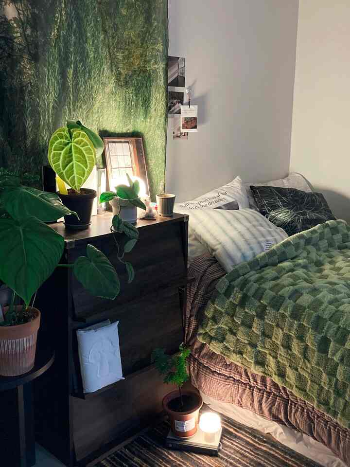 Studio bedroom with green plants and fabric poster curtain, featuring a cozy and natural atmosphere