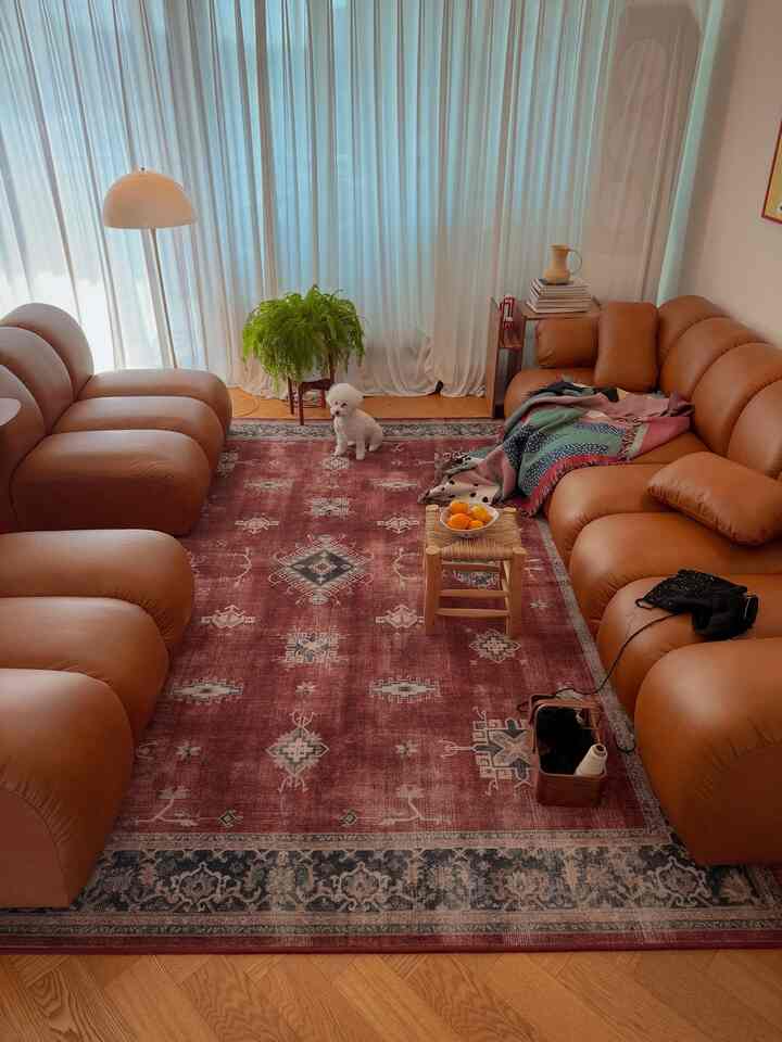 柔らかい白いカーテンとブラウンレザーのソファ、ラグ、ペットの犬がいる居心地の良いリビング