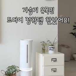 가습기 유목민
드디어 정착템 찾았어요!
디자인도 예뻐서 저희 집에 찰떡인데
가습량도 대박이에요
가열식, 기화식, 초음파식 다 찾아보다가
저는 케리프 복합식 가습기로 정착했어요!
✔️ 자동습도 조절 (40-80%까지) 기능
✔️ 65도 저온 가열과 UV 기능으로 99.9% 살균
✔️ 슬립모드에서도 가열, 살균 가능
✔️ 10L의 대용량 사이즈
✔️ 모든 부품 분리 가능
✔️ 국내 최초 송풍 기능 탑재
무빙휠로 청소할때 이동하기도 너무 쉽고
가열+UV 로 살균까지 되니 청소도 일주일에 한번만 해줘도 돼요!
특히 전원 종료 후 가습관 말려주는 송풍기능이 대박이에요👍
진짜 저 이런 가습기 처음 봤어요.
가습기 유목민 분들 케리프 강추 드려요✨
#콘수프필름 #집에서제일바빠 #거실인테리어 #가습기추천 #겨울필수템 #웜톤인테리어 #베스띠벽지 #그리밋 #식물인테리어 #코지인테리어 #미니멀인테리어 #맞팔 #구축아파트 #구축아파트인테리어 #30평대인테리어 #복합식가습기 #가열식가습기 #가습기추천 #신생아가습기 #살림살이 #인생템추천 #꿀템추천 

