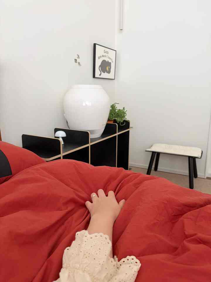 白と赤の色調の寝室、猫のポスターとナチュラルな要素が調和した落ち着いたインテリア