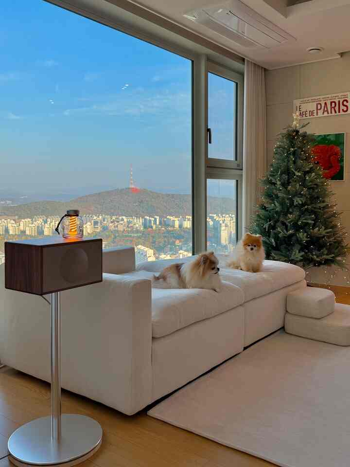 明るい白とベージュのトーンのリビングルーム、大きな窓からは街のパノラマビューが見え、ソファの上には小さな犬が二匹と飾られたクリスマスツリーが配置された雰囲気のある空間