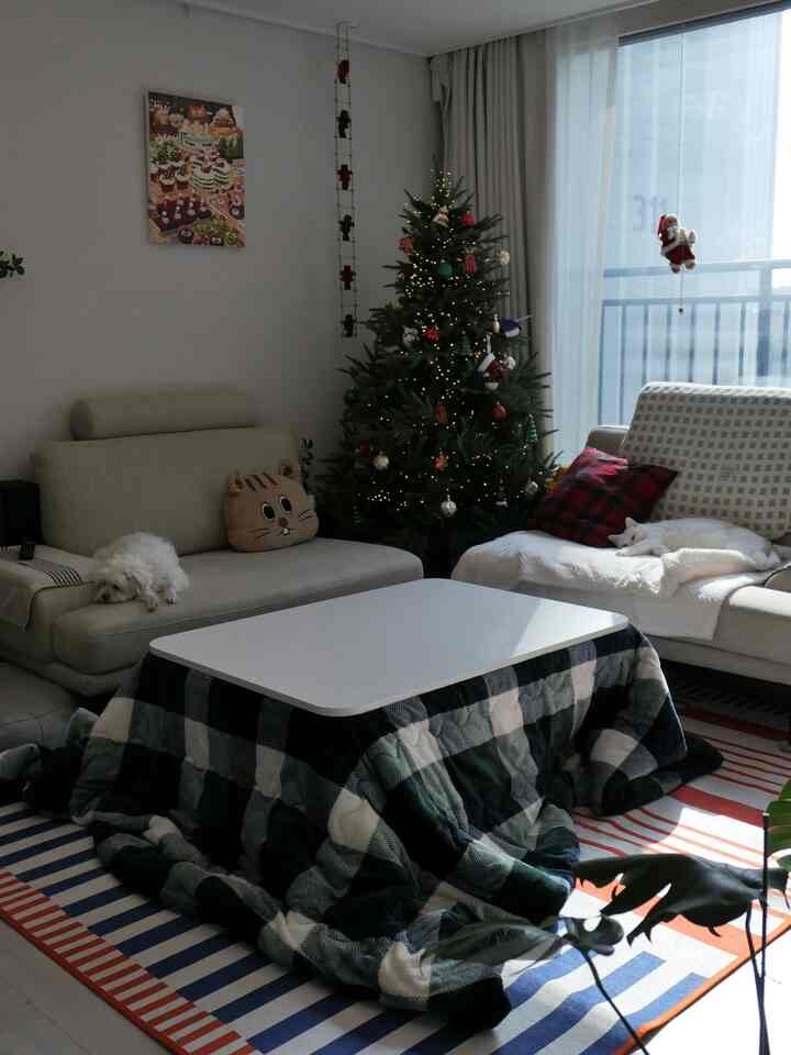 ハロウィンが終わってすぐにクリスマスを準備し始めました！
まだ飾るものが多いのですが、いったんスケッチ（？）から始めましょう！
あらかじめ（？）クリスマスです！

＃クリスマス＃リビングルームインテリア＃インテリア＃ミリークリスマス＃クリスマスインテリア＃冬のインテリア＃こたつ＃名画の描画＃ペット＃子犬＃猫＃家の装飾＃ラグおすすめ