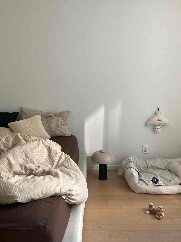 ベージュとブラウン調のリビングルーム、ソファとクッション、ペットベッドやペット用おもちゃが配置された雰囲気のあるインテリア