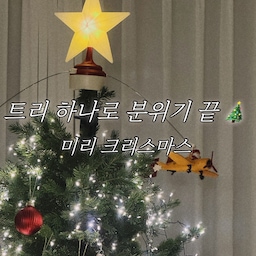 #콘수프필름 트리 하나로 분위기 끝 🎄
트리 불빛 켜는 순간,
집이 훨씬 따뜻해졌어요.
반짝이는 전구 하나하나 달면서
괜히 마음도 포근해지는 요즘 💫
겨울이 시작되는 느낌,
이 순간이 제일 좋아요.
#맞팔 #거실 #거실정리 #거실인테리어 #거실꾸미기 #육아일상 #아이사는집 #감성육아 #조명 #거실매트 #아기가있는집 #망고졔욱 #오너먼트 #아티파티 #영이오브제 #크리스마스 #크리스마스트리 #크리스마스소품 #크리스마스데코 #크리스마스꾸미기 #트리 #트리꾸미기 #트리장식 #트리조명 #트리오너먼트 #트리전구 #트리추천 #오너먼트추천 
