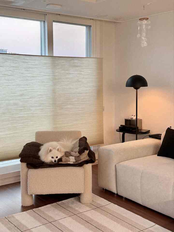 ベージュと木目調が調和したリビング、ベージュのソファとアームチェアに犬がいる、フロアランプが置かれた雰囲気のあるインテリア