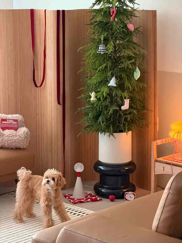 ブラウンとグリーンの色調のリビングルーム、ソファとクリスマス飾りの植物が配置され、犬がいる温かみのある空間