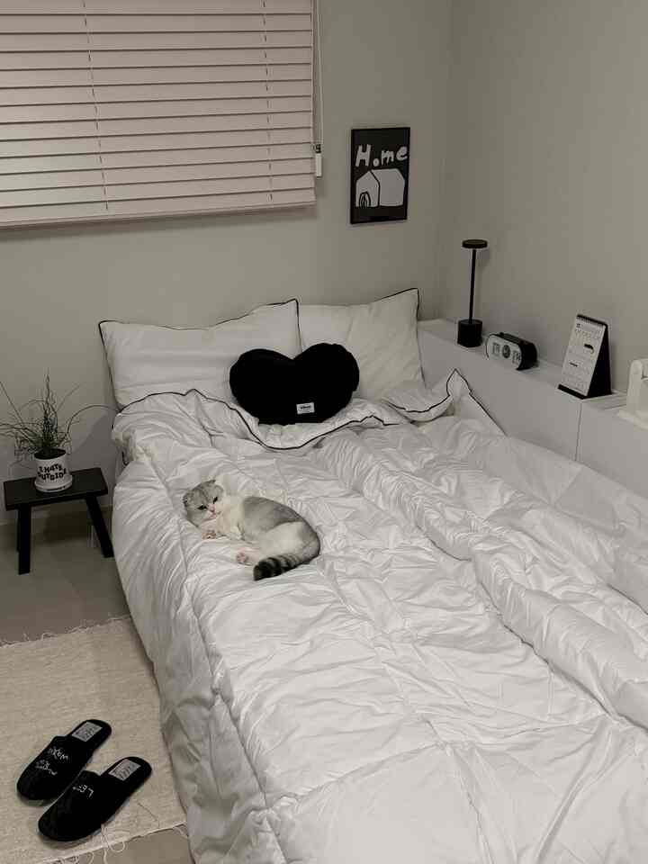 白と黒の色調の寝室、ハート型クッションと猫が配置された居心地の良い雰囲気のある空間