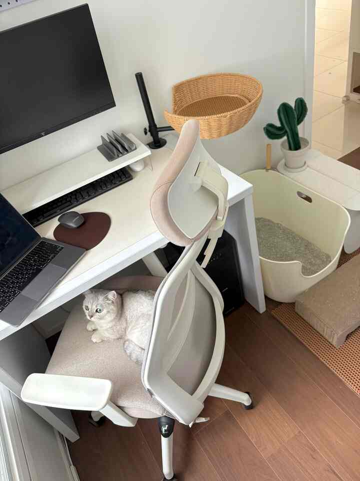 ホワイトとブラウンのトーンのホームオフィス空間、猫用家具が配置された雰囲気のある作業空間