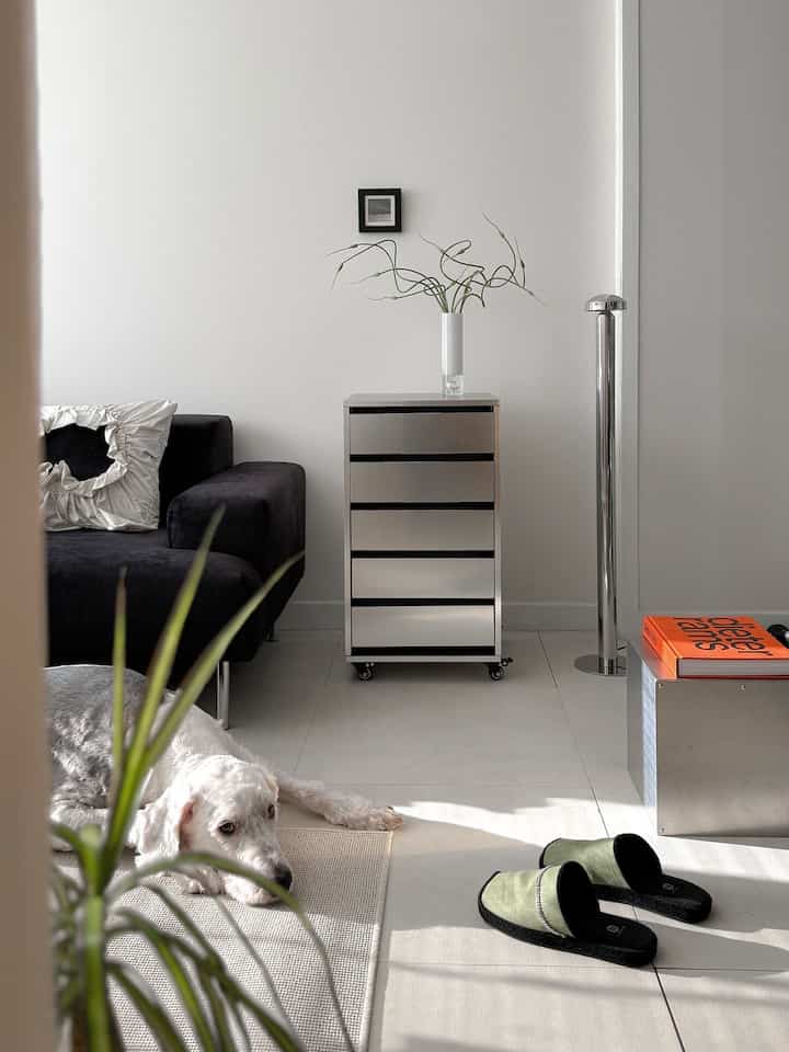 白とシルバーのトーンが基調のリビング、黒いソファとシルバーの収納トロリー、ペット犬とラグが配置されたモダンなインテリア