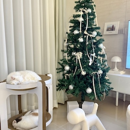 #콘수프기록집 #예쁜템최고야 
🎄드디어 우리집에도 트리가🎄
매년 참았는데 올해는 한번 들여봤어요~
어제 너무 빈약한거같아서 실망했지만
오너먼트 사와서 이렇게 꾸며놓으니 봐줄만(?)해진거같아요🥰
트리 장식할 조명도 주문해두었는데
배송 빨리 왔으면 좋겠어요!
그럼 모두 굿밤되세요💫
-오드리네🤍
#거실인테리어 #거실꾸미기 #트리꾸미기 #트리장식 #트리180 #오너먼트 #트리오너먼트 #리본장식 #집꾸미기 #오늘의집 #예쁜거실 #연말분위기 #신혼집거실스타일링 #맞팔환영 