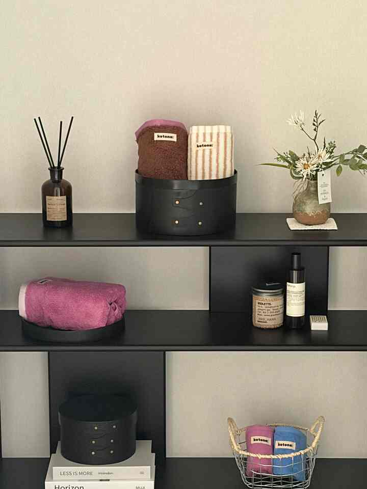 Natural toned space with black furniture, featuring storage shelves and a plant, presenting a neat arrangement