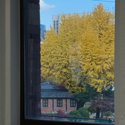 덕수궁 근처 정동 데이트🍁
아직 더 구경하고 싶은데
벌써 다 떨어져 가는 중🥺
#단풍 #단풍뷰 #덕수궁 #정동