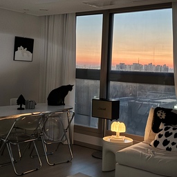 붉게 물든 여명을 바라보며 차분히 아침을 맞이하는 순간🌅🐈‍⬛ 오늘 하루도 화이팅! 
#오늘의우리집 #콘스프기록집 #아침풍경 #고양이가사는집 #고양이가있는집 #집사일상 #집꾸미기 #거실인테리어 #타워형아파트 #신혼부부인테리어 #선팔맞팔 #맞팔 