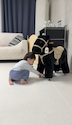 게시글 미리보기 이미지 4