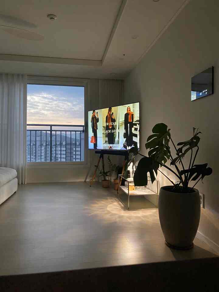ホワイトとグレーのトーンのリビングルーム、テレビ台とソファ、植物が配置され、夜明けのムードを感じさせるミニマルな空間