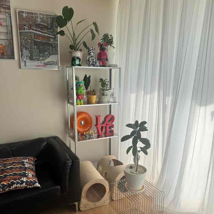 白を基調としたリビング、メタルの棚と黒いソファ、ベージュのペット用トンネルが配されたモダンなインテリア