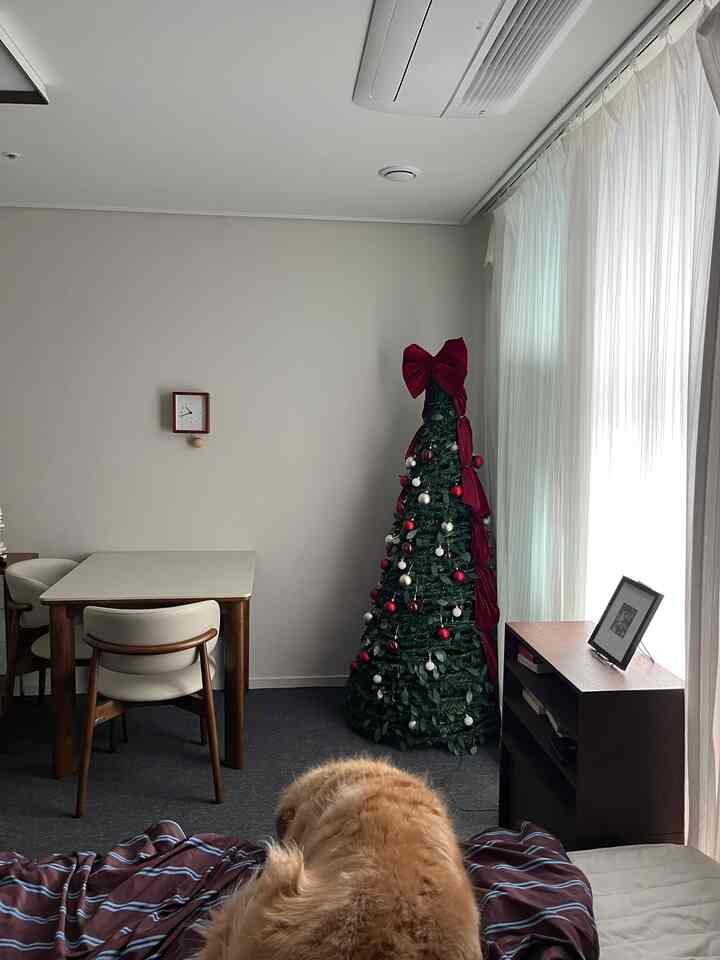 #コンスープ記録集 #きれいなテム最高夜冬の空気が少しスミは夜、寝室に暖かい照明をつけておくとふわふわがフック満ちています。
柔らかい毛布1つだけ載せても冬の感じが部屋の中にスルル広がります。
冷たい季節なので、ちょっとした照明光もより暖かく感じられていいです。
今日はカーテンもトーンダウンした色に変えて冬感性ちゃんと盛り込んでみました。
このように居心地よく飾っておくと、一日の終わりがより暖かく仕上げられますね❄️✨

＃寝室のインテリア＃冬の感性＃部屋の装飾＃家の装飾＃居心地の良い寝室＃照明インテリア