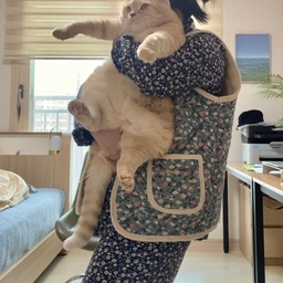 이런거 꼭 하나씩 있어야져 
#김장조끼
