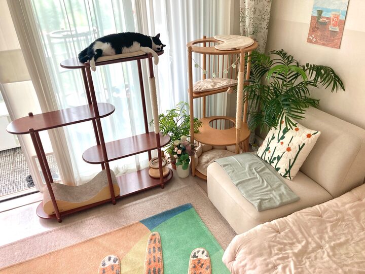 short form carousel card thumbnail