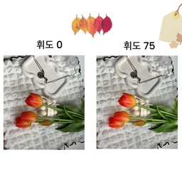 #호스트챌린지 #그리다오늘과함께기록
사진보정의 킥 🪽"휘도조정하기"
요즘 날이 조금 흐리지만 ☁️
사진은 맑은 분위기로 보정 가능🌞‼️
평소에 맑은 분위기의 사진을 좋아하는데
사진 보정의 “휘도”만 높여도 
망고튤립의 색이 확실하게 달라지네요 🌷🌷:)
블라인드 틈으로 들어오는 자연빛만으로 
이렇게 완성 했습니다 
휘도 조정 비교사진도 같이 보여드릴게요 💙
✔️어두운 그림자 부분이 옅어지면서 
컬러는 채도감있게 보정되서 사진이 맑아집니다 
오늘의 배움으로 앞으로 예쁜 사진들 많이 담아볼게요 :)
감사합니다💛
#맞팔 #휘도 #사진보정 #영이오브제 #망고튤립 #하리보트레이 #생화같은조화 #보정