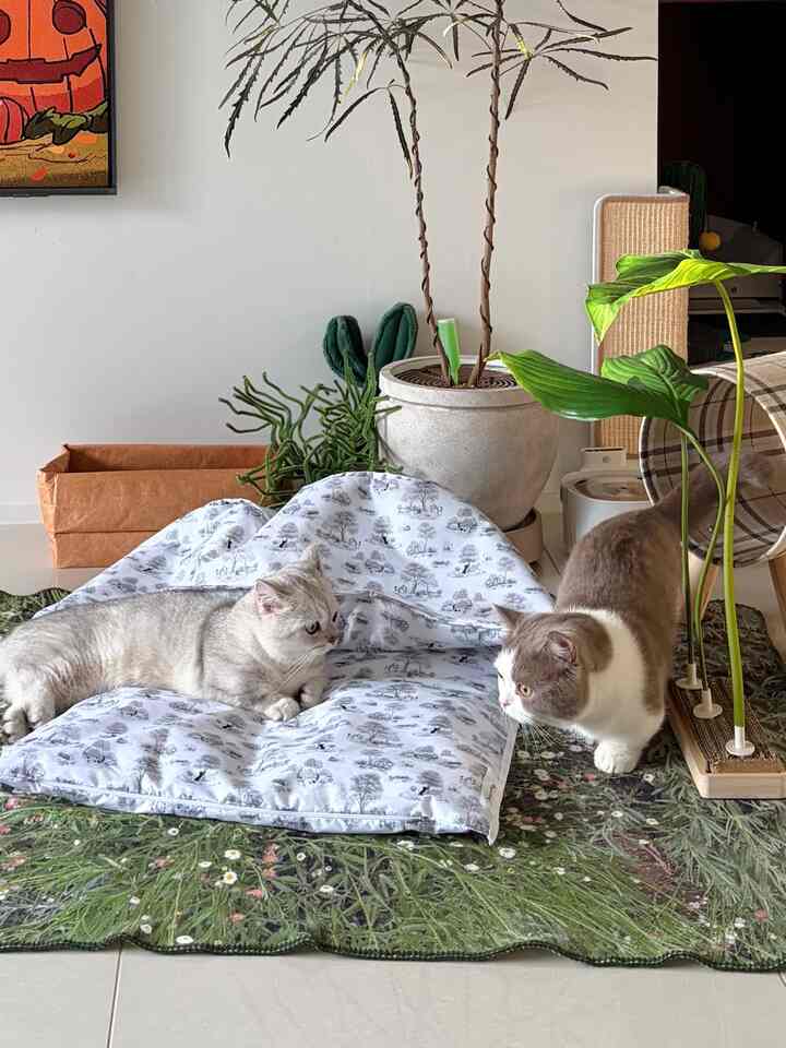 緑の植物とキャットトンネルがあるリビング、二匹の猫がブランケットと花柄のラグの上にいる雰囲気のあるインテリア