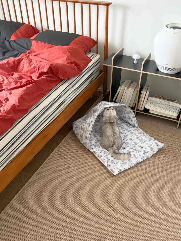 ナチュラルな色調の寝室、木製ベッドフレームと赤い寝具、猫用隠れ家が配置された雰囲気のあるインテリア