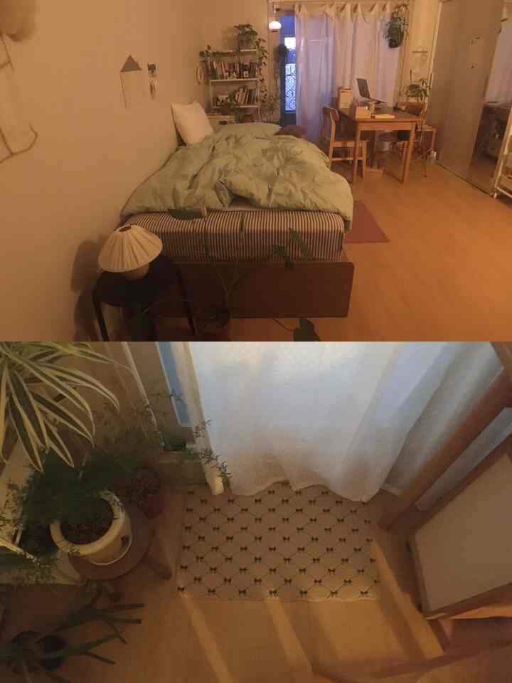 ナチュラルな木目調とグリーンプランツが調和した8畳のワンルーム寝室兼作業スペース