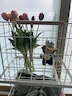 게시글 미리보기 이미지 2
