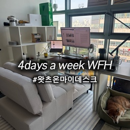#왓츠온마이데스크
주 4회 재택하는 프로 재택러의 데스크 공개!
모니터 완전 필수이구요 #삼성 #M7 은 디자인도.. 화질도… 그냥 다 넘 대만족입니다.
그리고 이 4단 책장과 세트인 #모노그룹브 책상은 제 재택 환경을 3레젤 정도 업 시켜줬어요 (땡큐) 🙂
사실 소파랑 업무용 의자랑 바꿔가면서 쓰고있는데, #한샘 리클라인 소파를 사용하면 돼지파티하기 너무 좋아요 (안움직이고 일하다가 퇴근하면 바로 그자리에서 넷플) 😎
그리고 제 테크 템들은 3번째 사진에서 확인하세요!!! 📷