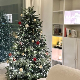 #크리스마스에진심인편
매년 연말에 설치하는 크리스마스 트리🌲🕯️✨
트리를 만드는 순간만큼은 다시 동심으로
돌아간 거 같아요☺️
귀여운 무빙 오르골과 워터 랜턴, 조명으로
포인트주니 트리 주변이 더 반짝반짝😍
육퇴하고 즐기는 밤트리는 사랑이에요🎁
#콘수프기록 #클친자 #크리스마스트리 #트리
#대형트리 #밤트리 #집트리 #미리크리스마스
#트리스타일링 #오너먼트 #크친자 #맞팔환영
#화이트인테리어 #거실꾸미기 #거실인테리어
#크리스마스소품 #크리스마스에진심 #트리멍
#맞팔 #180트리 #아이가있는집 #층고높은집
#트리맛집 #아이가사는집 #천고높은집 #뷰맛집
