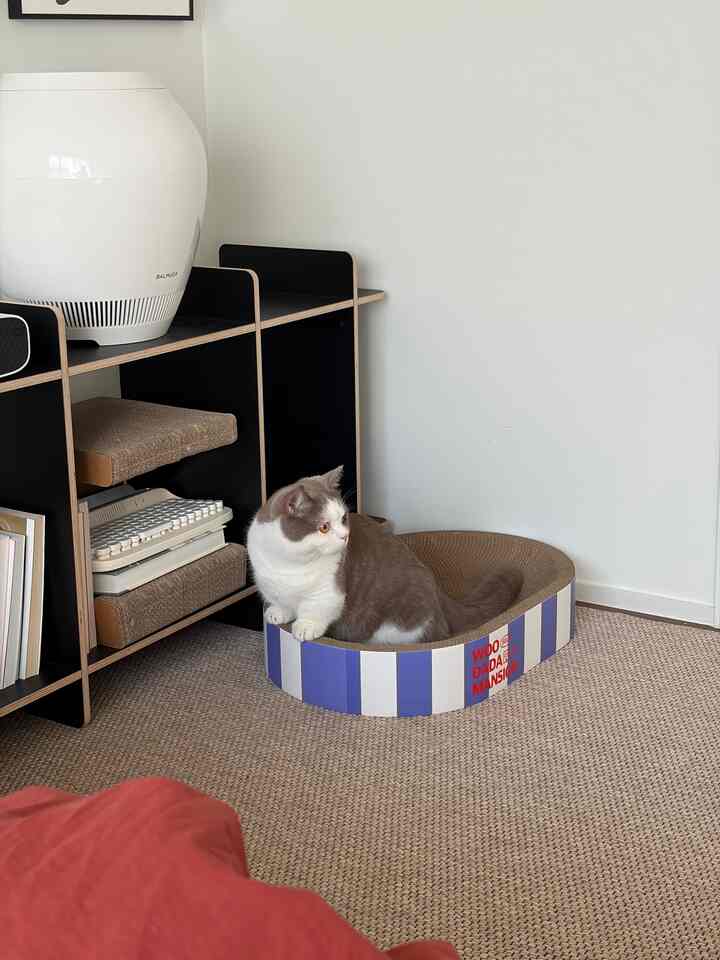 ナチュラルカラーの寝室に、猫用スクラッチャーと白い加湿器が並ぶ、落ち着いた雰囲気のインテリア