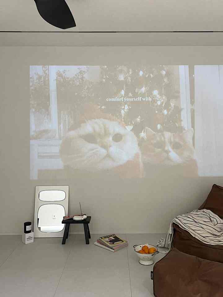 白と茶色のトーンのリビングルーム、ビーズクッションとスツール、壁に猫の映像が投影された雰囲気のある空間