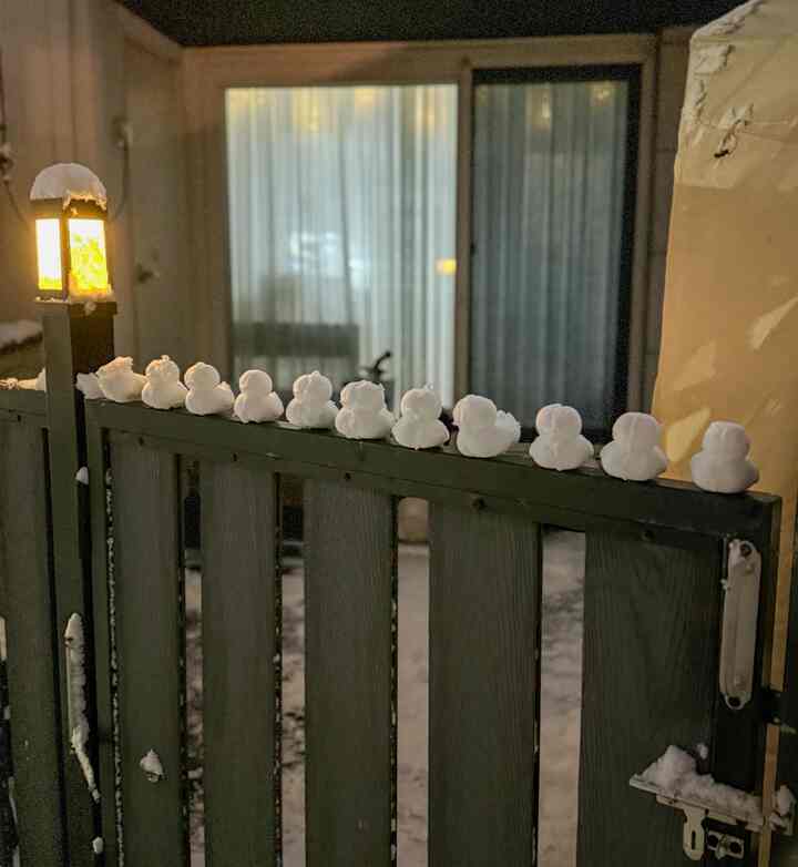 ＃今日の私たちの家＃コンスープ記録集

。
昨日は日中は日差しがいっぱいでした。
夕方から雪がいっぱい..❄️
気づいたとき、息子はそりに乗ってアヒルの目を作ります。
世界は幸せになる時間でした🤣
私は滑りやすいです🥺注意してください🤍

＃オリヌン＃目＃初雪＃タウンハウス＃小さな庭＃オクタテント＃ホームキャンプ＃冬＃冬のインテリア＃モザイクタイル＃今日の庭＃花束＃花＃調和＃生花＃キッチン＃ジュネーブ＃ガラスの壁＃秋の壁＃キッチンスペースの分離＃キッチンインテリア＃キッチンインテリア＃キッチン装飾#雪そり #スピーカー 