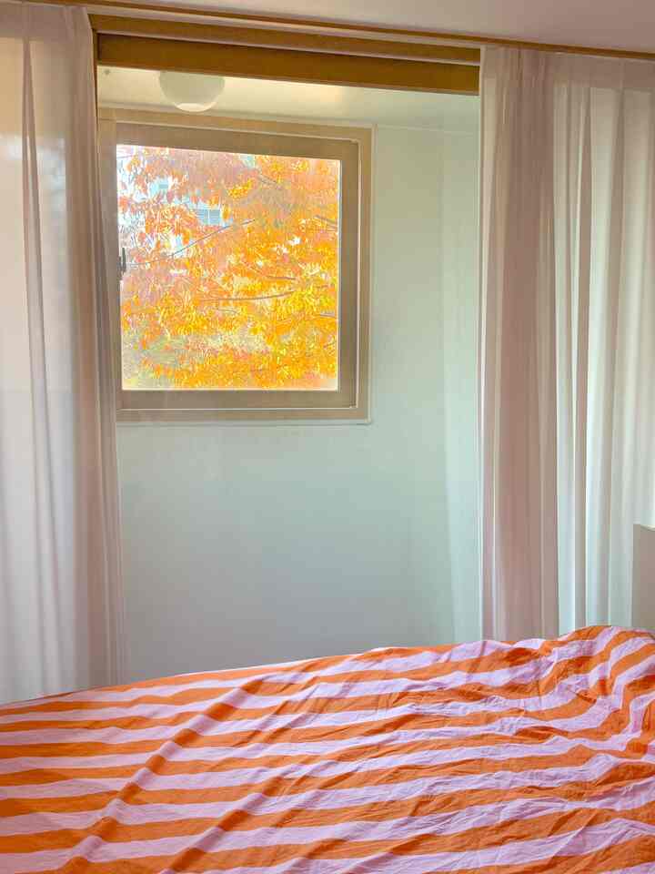 オレンジのストライプ掛け布団と白いシフォンカーテンがある、自然光が差し込む寝室の雰囲気あるインテリア