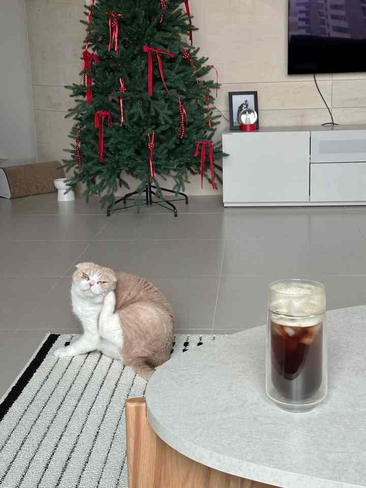 #今日からクリスマス #4日目記録 
今日は学校に通うときに親しかった知人たちが遊びに来て家が準備に忙しいよ♥️
それなりに年末の雰囲気を下ろそうとしていたクリスマスツリー、リースが大丈夫になるようになる（？？）今日ですㅎㅎㅎ
朝からああ食べながら掃除を始める🤨

＃クリスマス＃クリスマス＃クリスマス＃小道具＃クリスマスデコ＃クリスマス装飾＃ラグ＃家屋＃ラグインテリア＃ラグおすすめ＃家＃家の準備＃リビングルーム