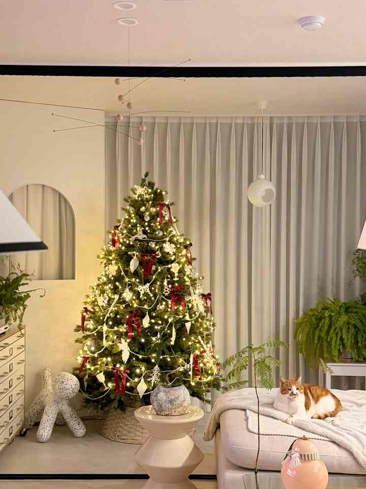 #今日からクリスマス #3日目記録

3日目のチャレンジを気をつけて見てください！

キラキラきれいなツリーが一緒になるリビングルームなんですか。 :)

きれいな木を見ながら、夫とかわいいニャンたちとテレビを見ながら癒す時間が一番幸せです。 🤍

今日も暖かい夜を過ごしてください！


＃リビングルーム＃リビングルームスタイリング＃リビング飾り＃ツリー＃クリスマス＃ツリー飾り＃大規模なツリー＃オーナメント＃照明＃モバイル＃ラジルーム＃パーティション＃カリフォルニア＃支店#1人ソファ #カーテン #クッションソファ 