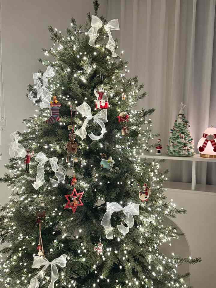 いよいよツリーにオーナメントをつけてくれました🎄🎅🏻
ドイツ旅行の思い出が詰まったオーナメントたちで、私にはもっと特別で大切ですね
キラキラ輝くツリーを見ているだけでも気持ち良くなるのがツリーの魔法ではないかと思います✨


＃素敵なテム最高屋＃コンスプ記録集 