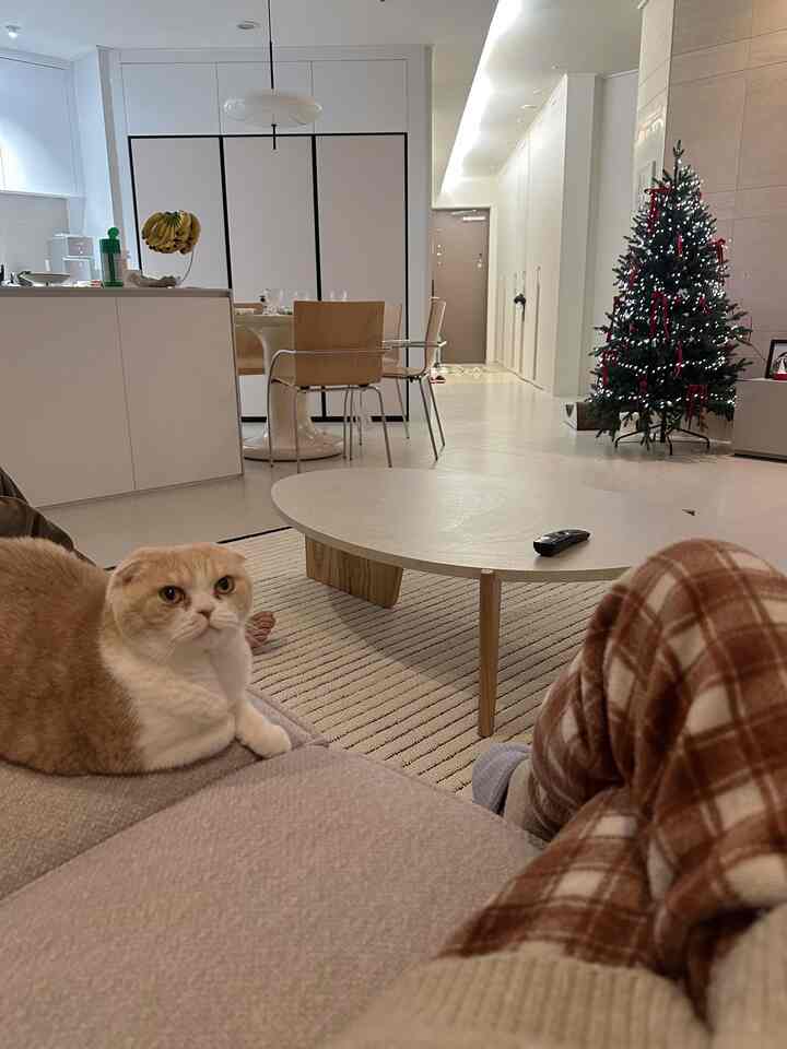 ナチュラルなベージュと白を基調としたリビング、円形のコーヒーテーブルとクリスマスツリーが配置された温かみのある空間